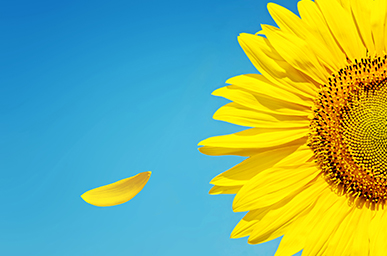 555000jcjc��·�������(����)�ٷ���վ