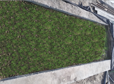 555000jcjc��·�������(����)�ٷ���վ