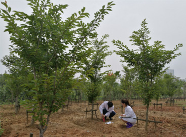 555000jcjc��·�������(����)�ٷ���վ