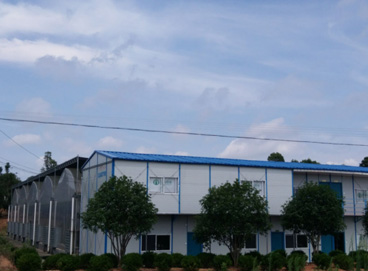 555000jcjc��·�������(����)�ٷ���վ