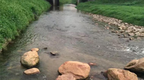 555000jcjc��·�������(����)�ٷ���վ