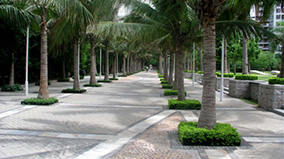 555000jcjc��·�������(����)�ٷ���վ