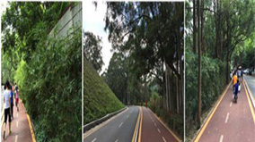 555000jcjc��·�������(����)�ٷ���վ