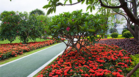 555000jcjc��·�������(����)�ٷ���վ