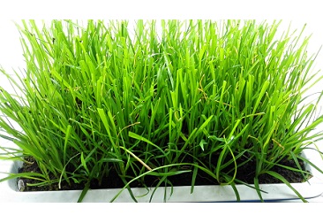 555000jcjc��·�������(����)�ٷ���վ