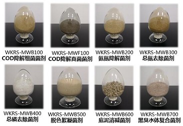 555000jcjc��·�������(����)�ٷ���վ