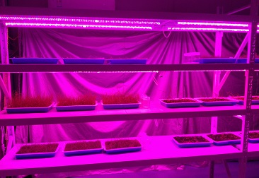 555000jcjc��·�������(����)�ٷ���վ