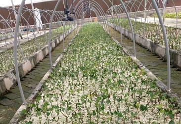 555000jcjc��·�������(����)�ٷ���վ